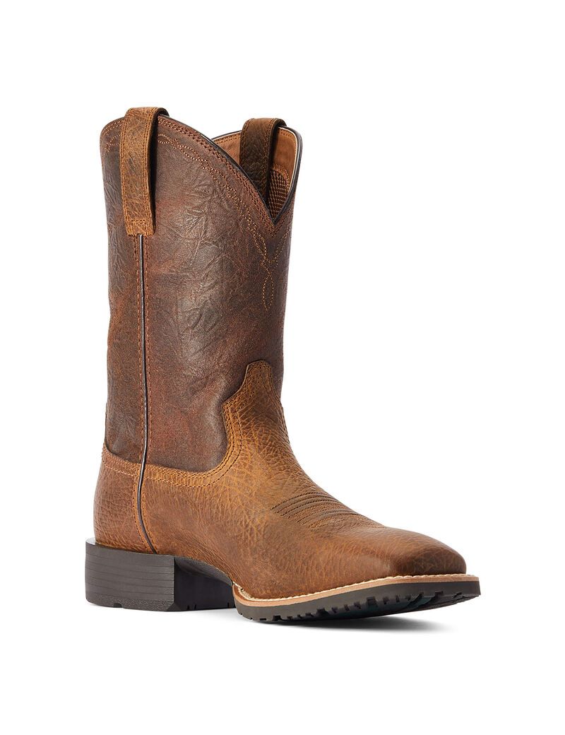 Bottes Western Ariat Hybride Grit Multicolore | 851943JDZ