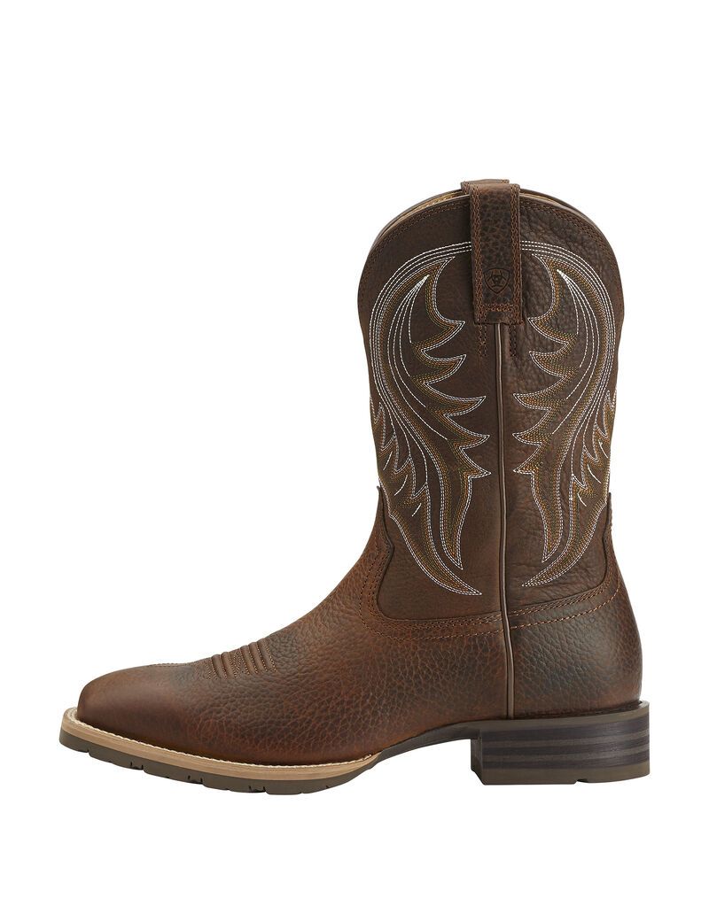 Bottes Western Ariat Hybride Rancher Marron | 197306KCQ