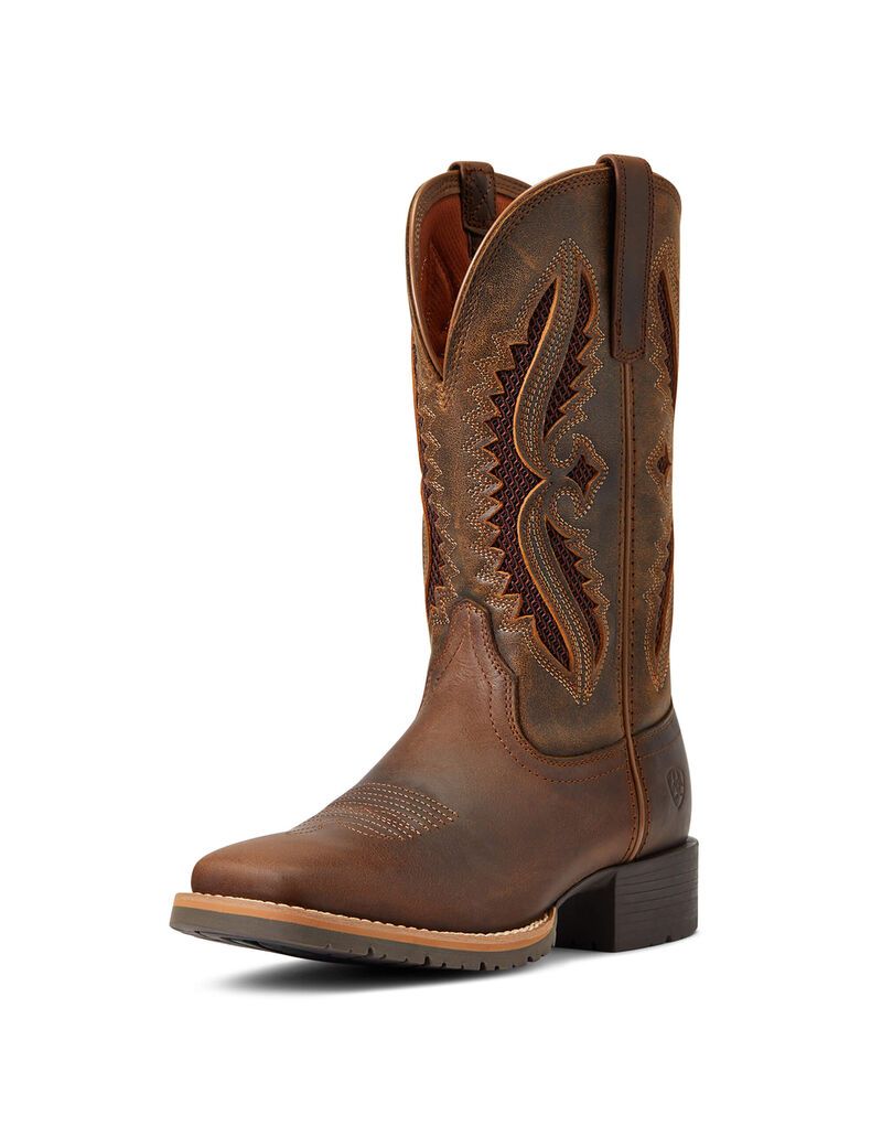 Bottes Western Ariat Hybride Rancher Venttek 360 Marron | 240761KLU