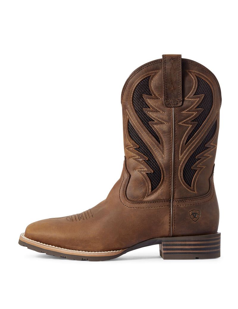 Bottes Western Ariat Hybride Venttek Marron | 025439CVO