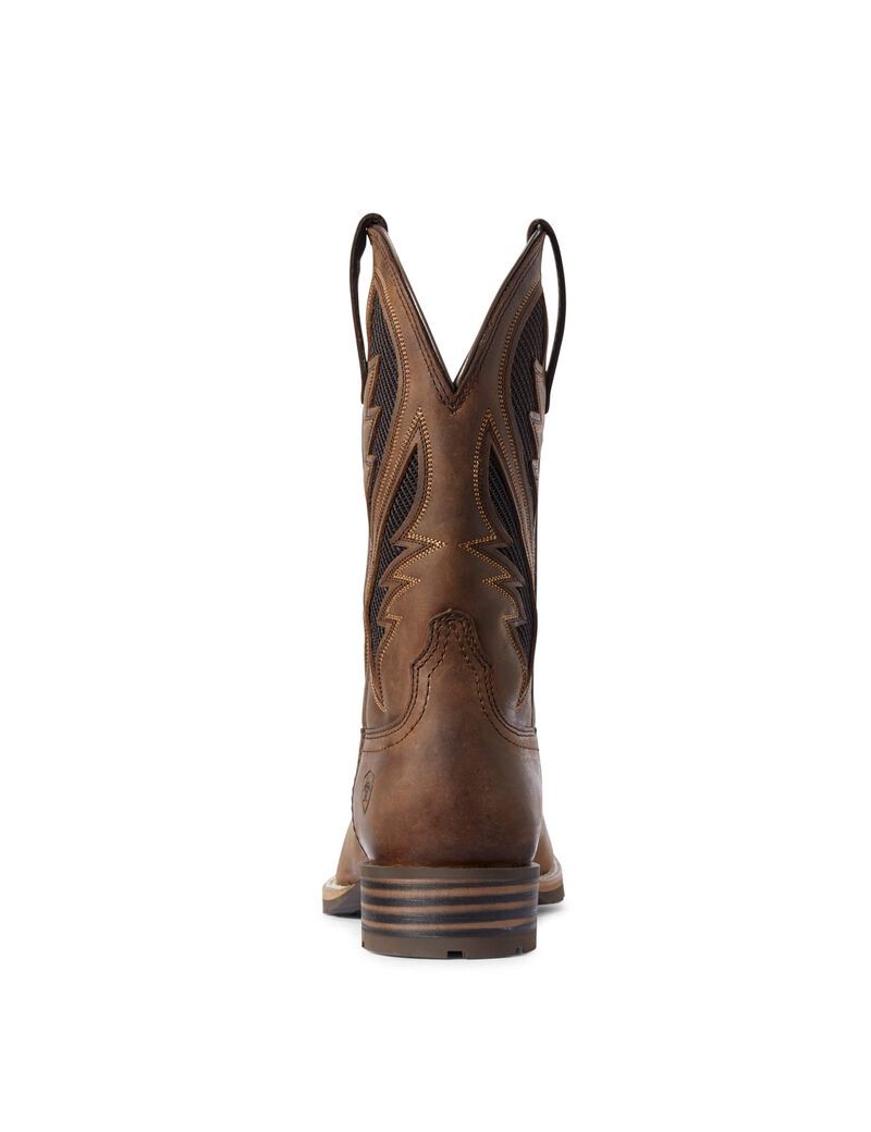 Bottes Western Ariat Hybride Venttek Marron | 025439CVO