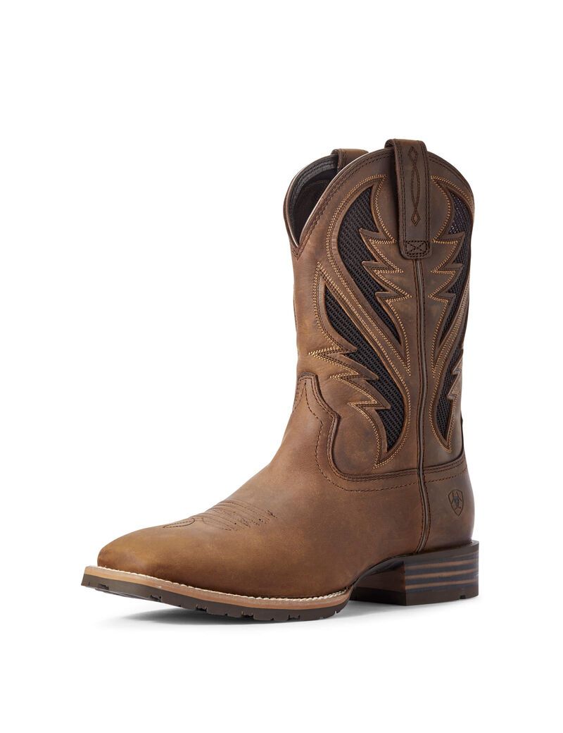 Bottes Western Ariat Hybride Venttek Marron | 025439CVO