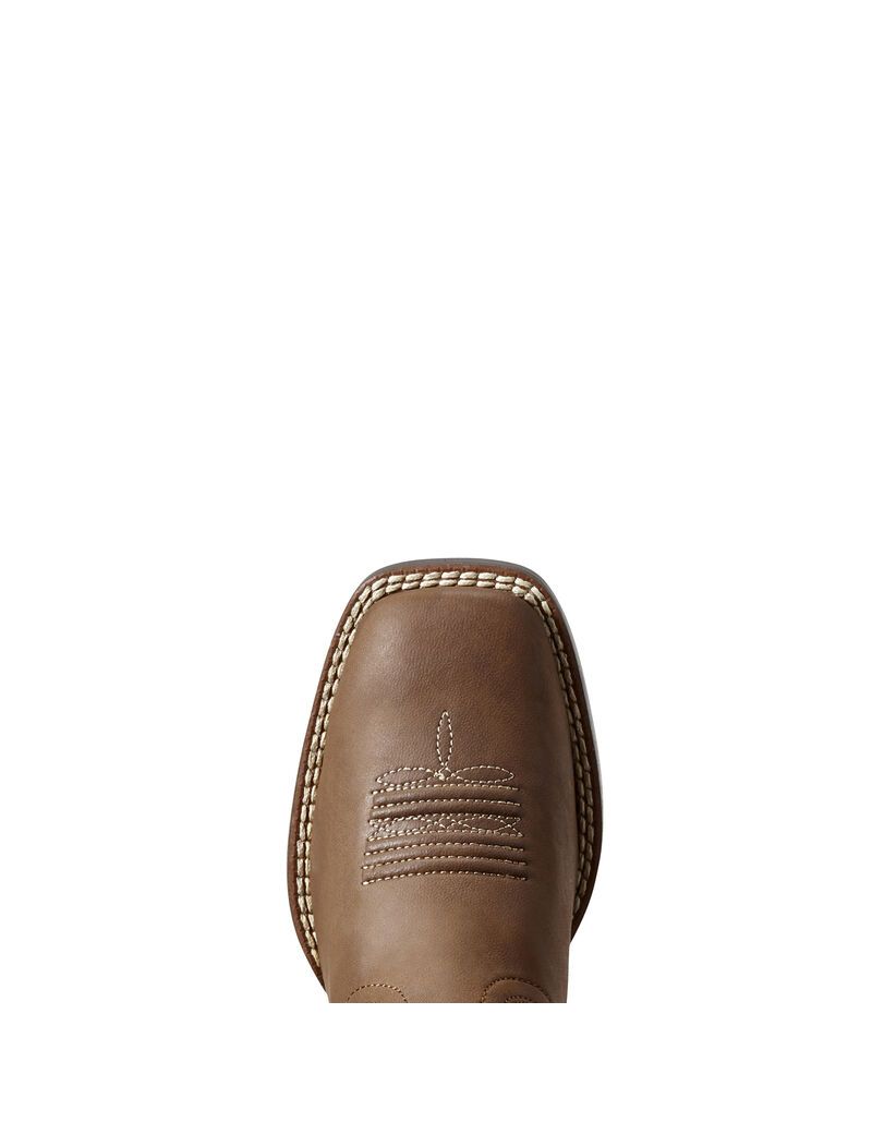 Bottes Western Ariat Jr Champ Marron | 619450SCT