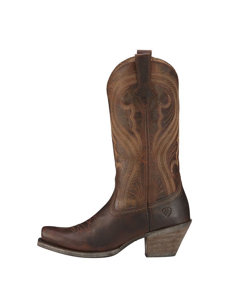 Bottes Western Ariat Lively Marron | 290841CKG