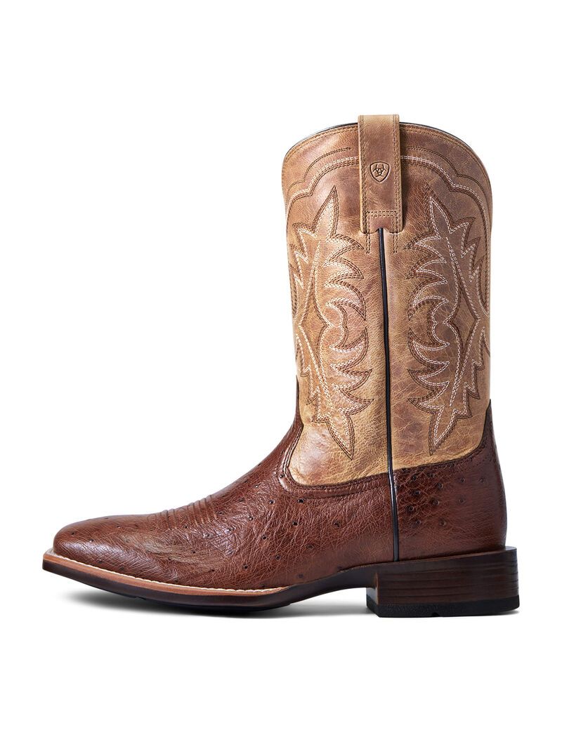 Bottes Western Ariat Night Life Ultra Multicolore | 541978DLU