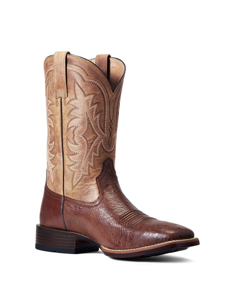 Bottes Western Ariat Night Life Ultra Multicolore | 541978DLU