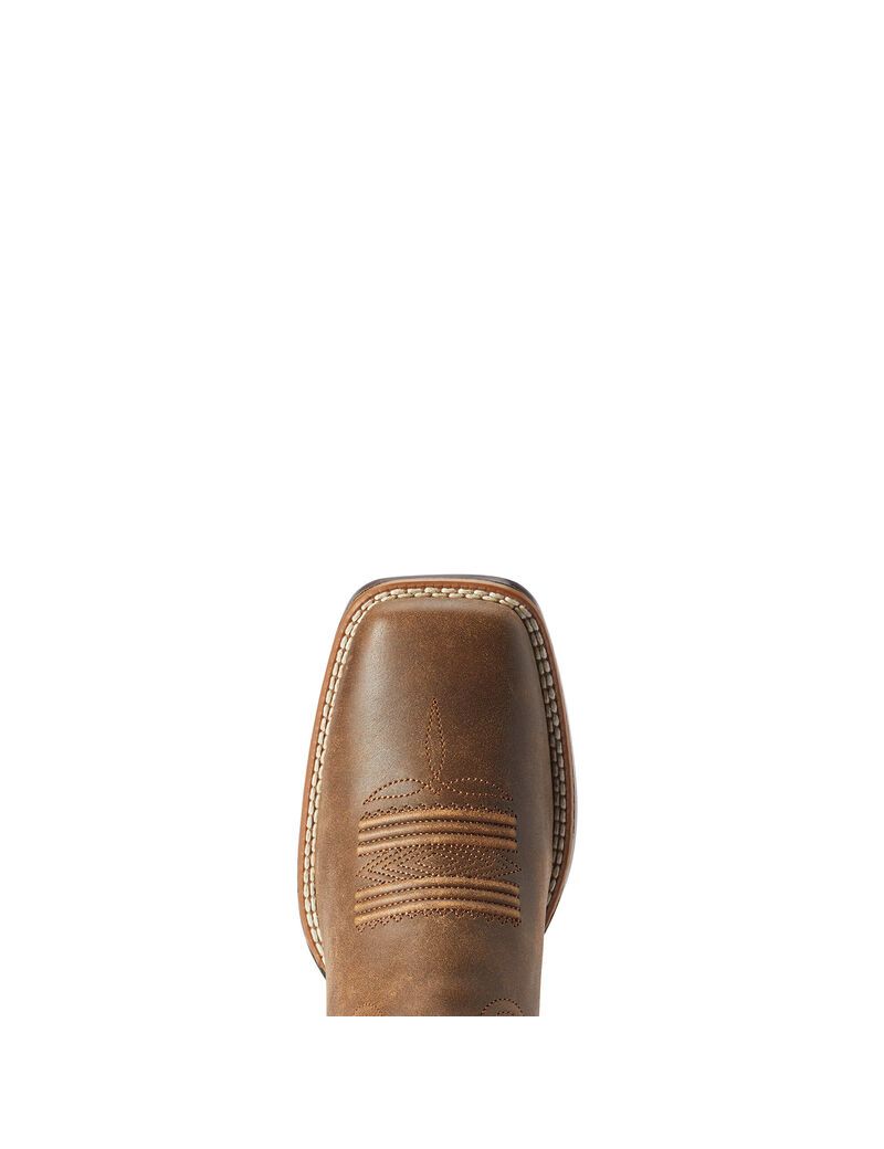 Bottes Western Ariat Odessa Stretchfit Marron | 587326YLI