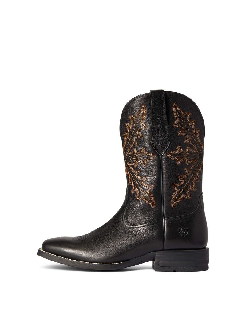 Bottes Western Ariat Qualifier Bleu | 673415KWV