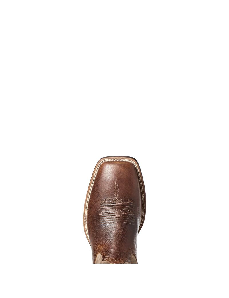 Bottes Western Ariat Qualifier Marron | 672190FPH