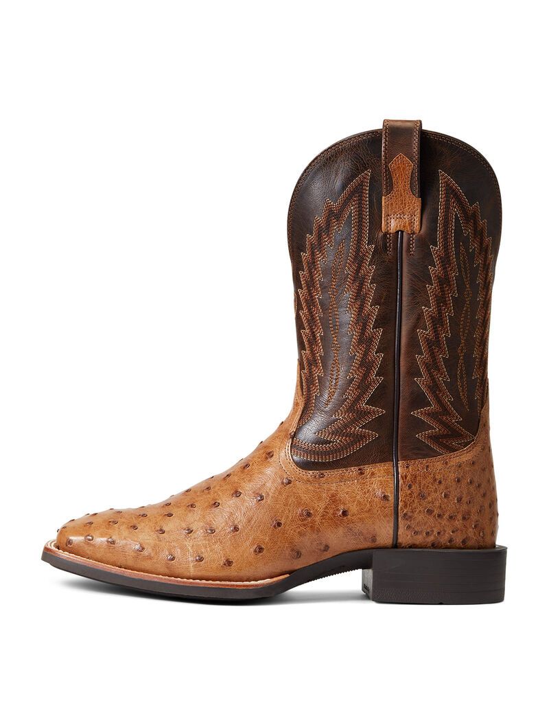 Bottes Western Ariat Quantum Primo Multicolore | 501296EMT