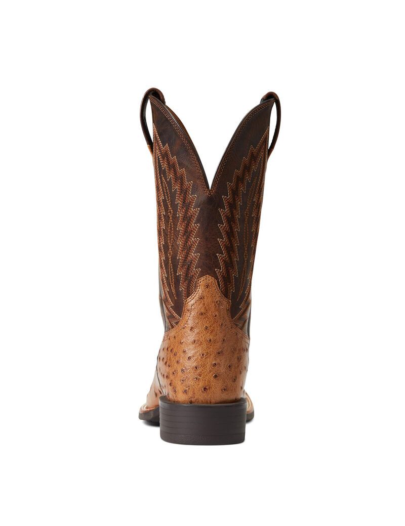 Bottes Western Ariat Quantum Primo Multicolore | 501296EMT