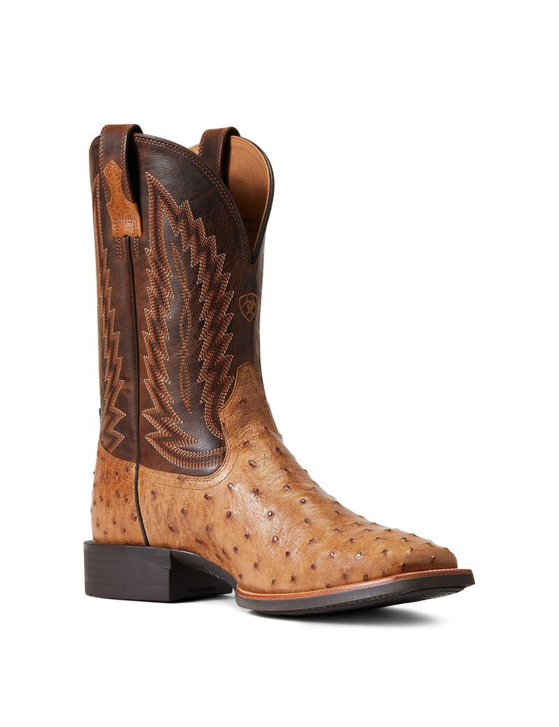 Bottes Western Ariat Quantum Primo Multicolore | 501296EMT