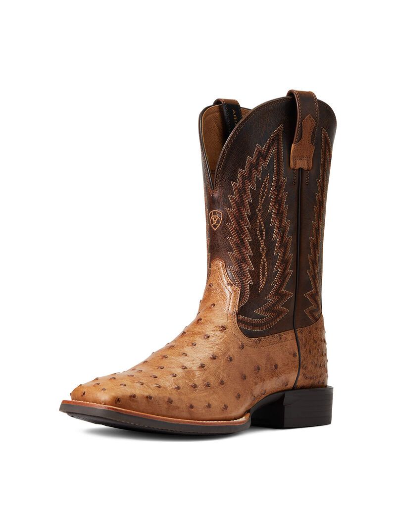 Bottes Western Ariat Quantum Primo Multicolore | 501296EMT