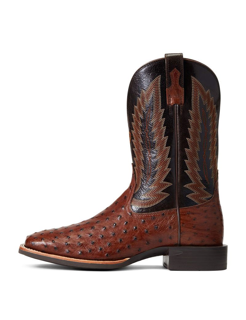 Bottes Western Ariat Quantum Primo Multicolore | 896075XRV