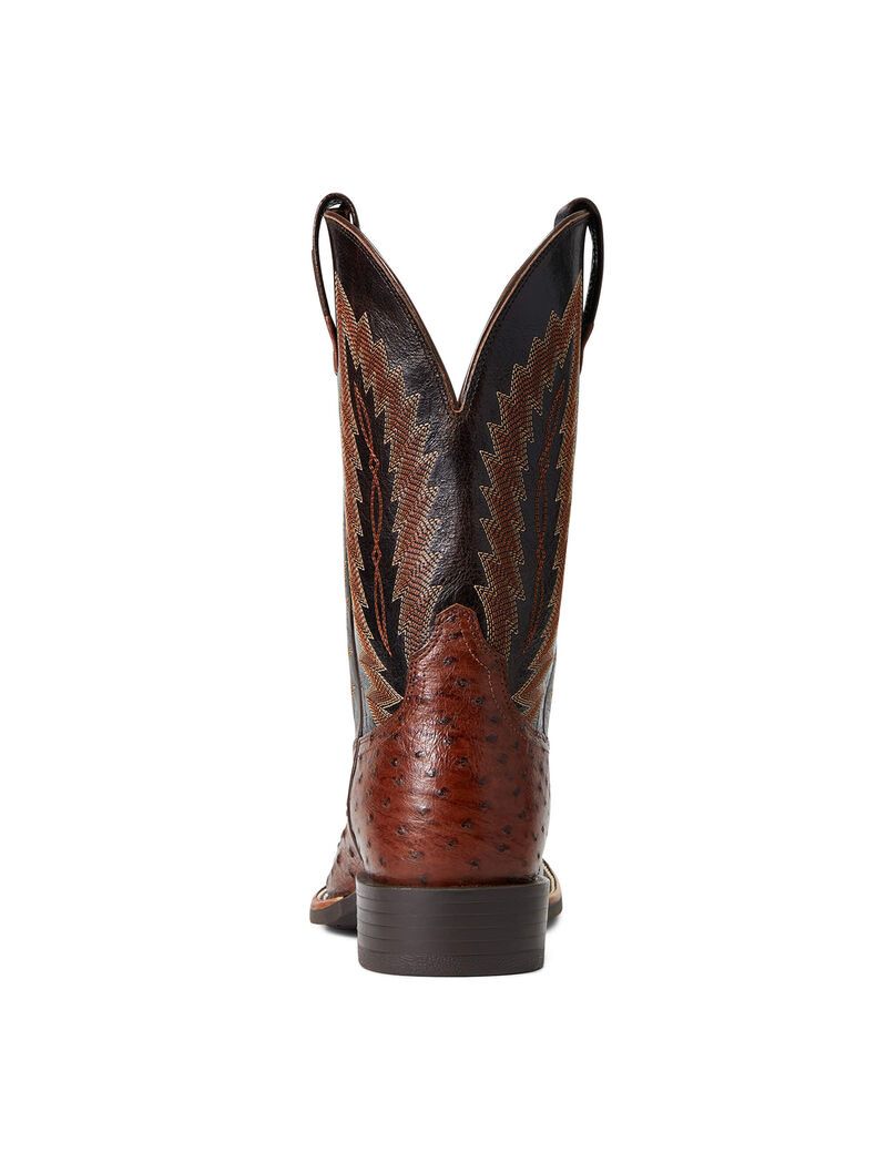 Bottes Western Ariat Quantum Primo Multicolore | 896075XRV