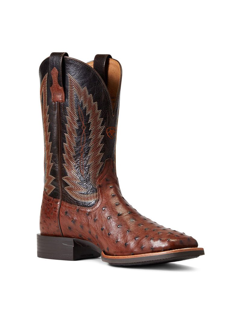 Bottes Western Ariat Quantum Primo Multicolore | 896075XRV