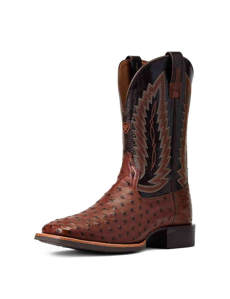 Bottes Western Ariat Quantum Primo Multicolore | 896075XRV