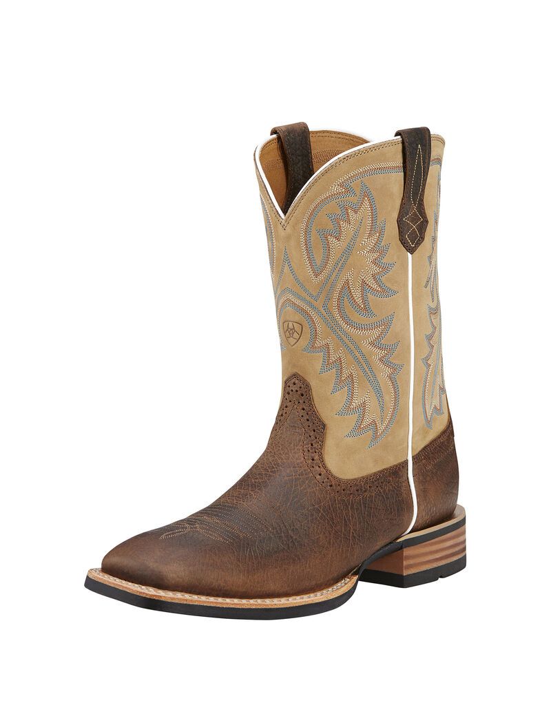 Bottes Western Ariat Quickdraw Multicolore | 928531FHU