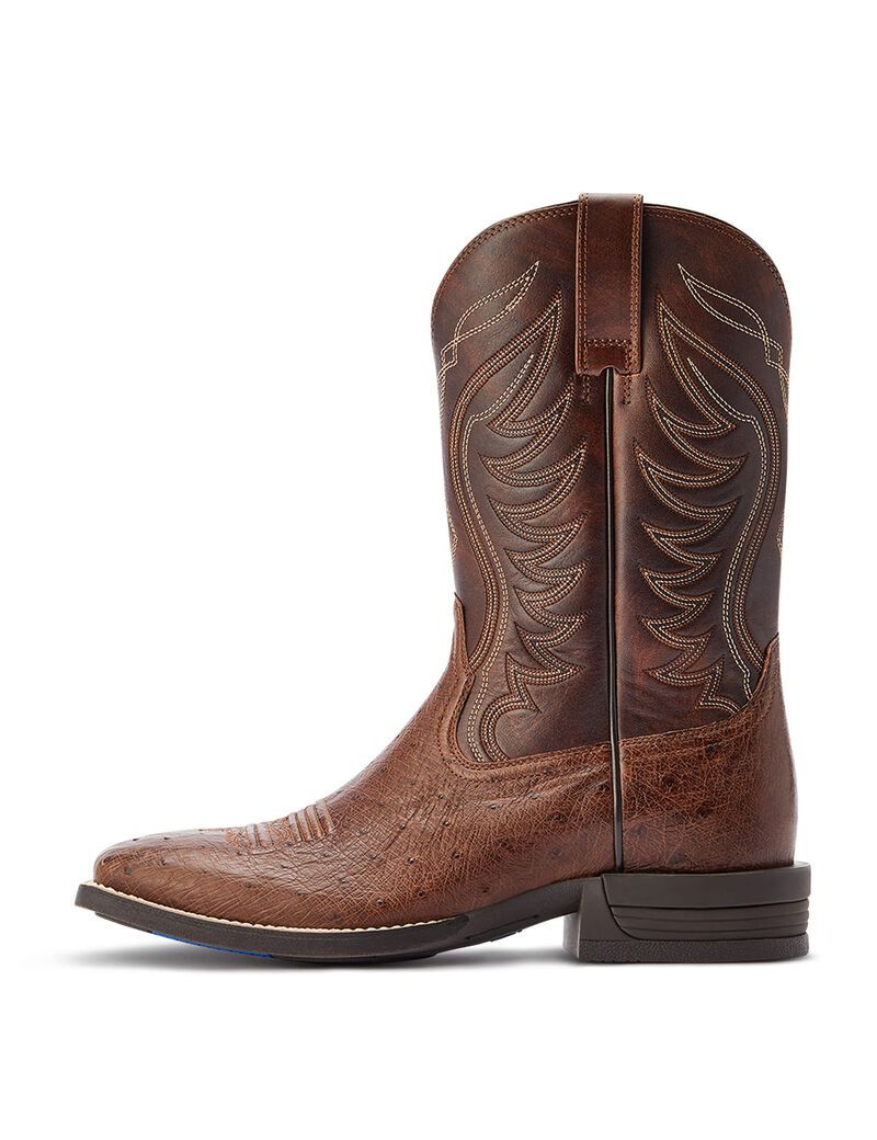 Bottes Western Ariat Reckoning Multicolore | 415382XRH