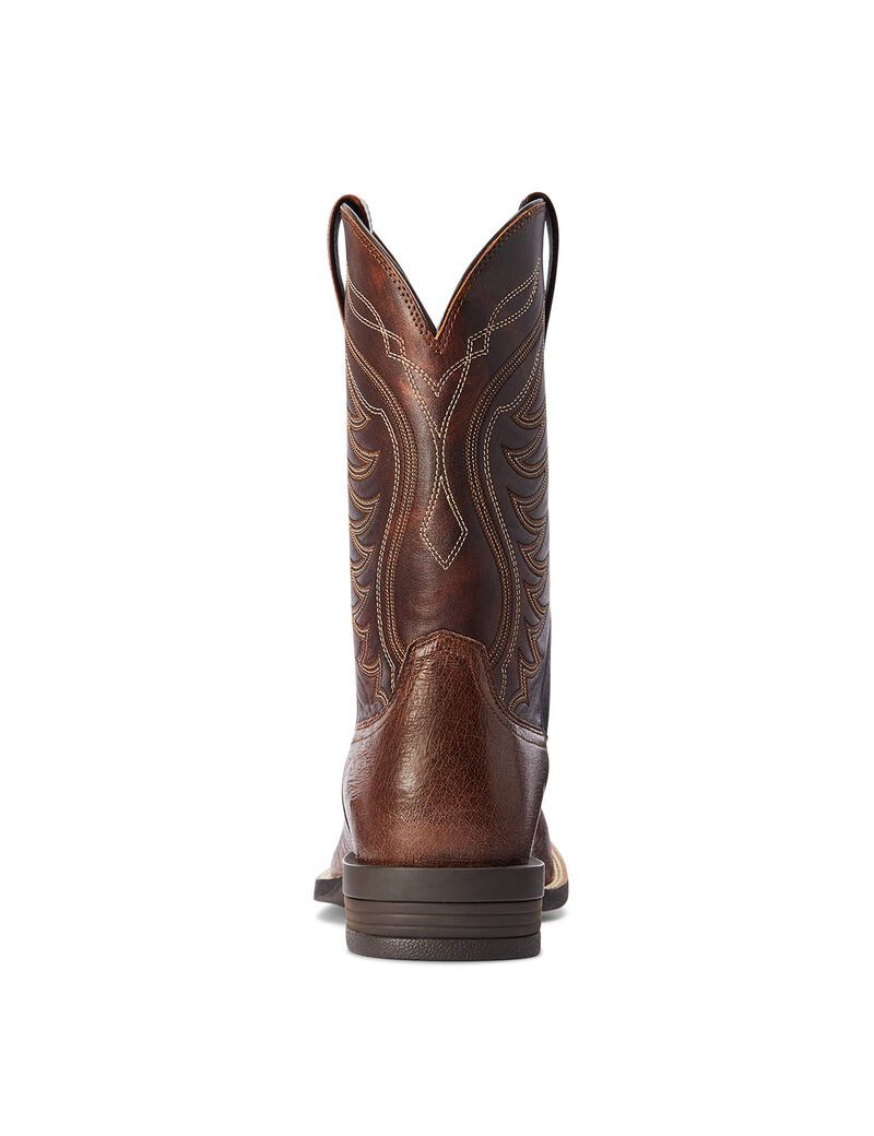 Bottes Western Ariat Reckoning Multicolore | 415382XRH