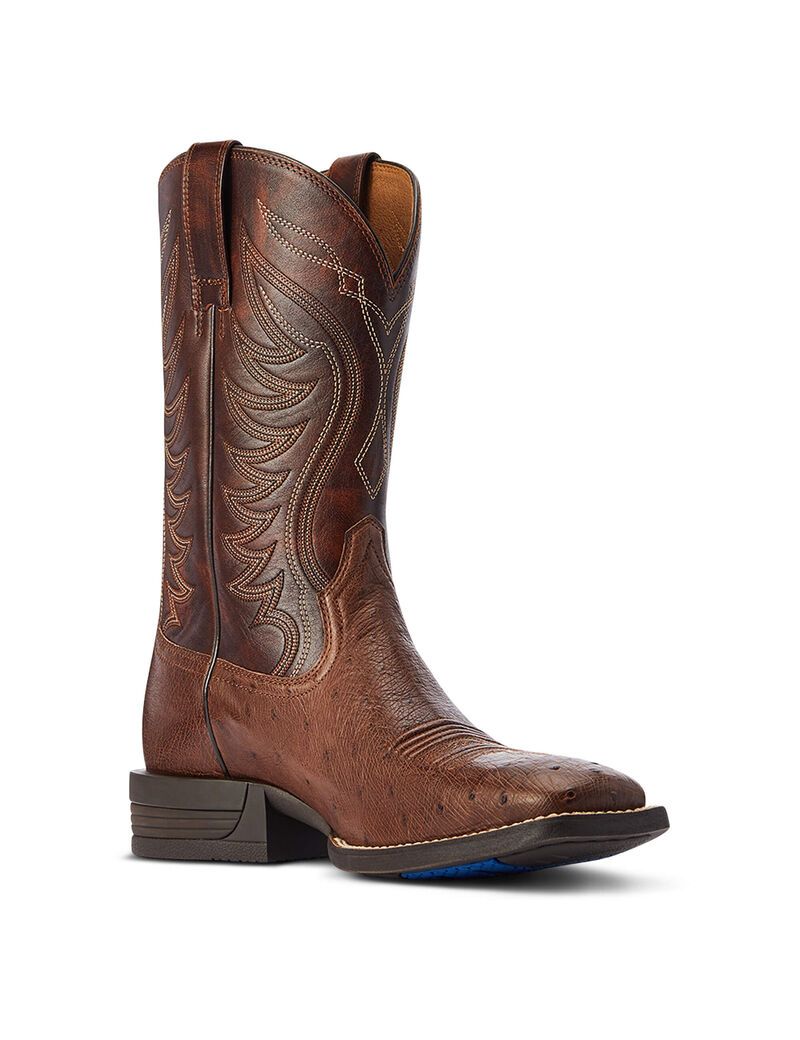 Bottes Western Ariat Reckoning Multicolore | 415382XRH