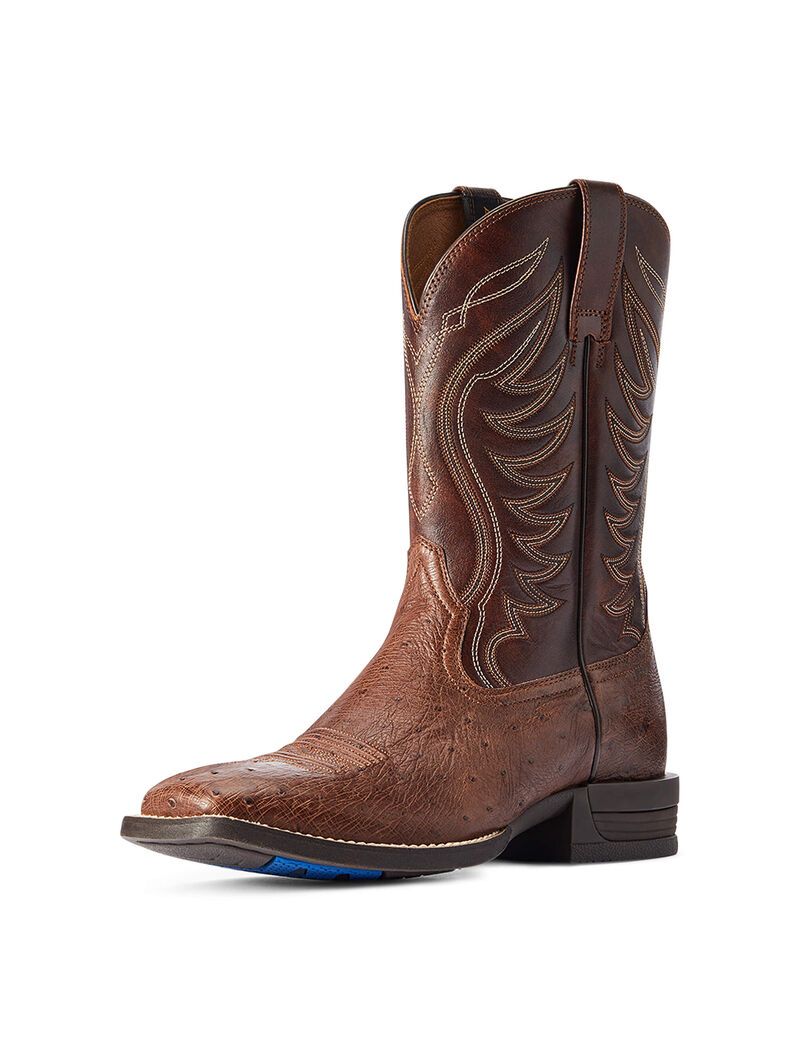 Bottes Western Ariat Reckoning Multicolore | 415382XRH