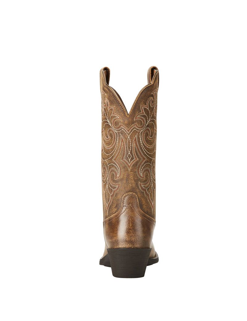 Bottes Western Ariat Round Up Square Embout Multicolore | 596304QWR