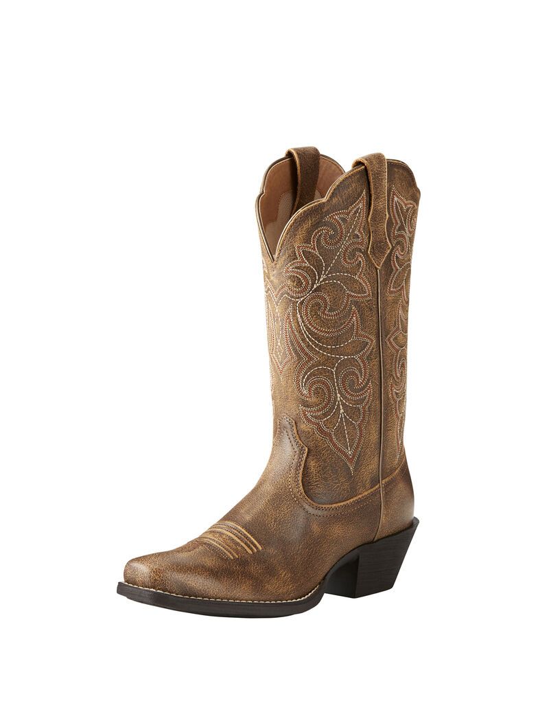 Bottes Western Ariat Round Up Square Embout Multicolore | 596304QWR