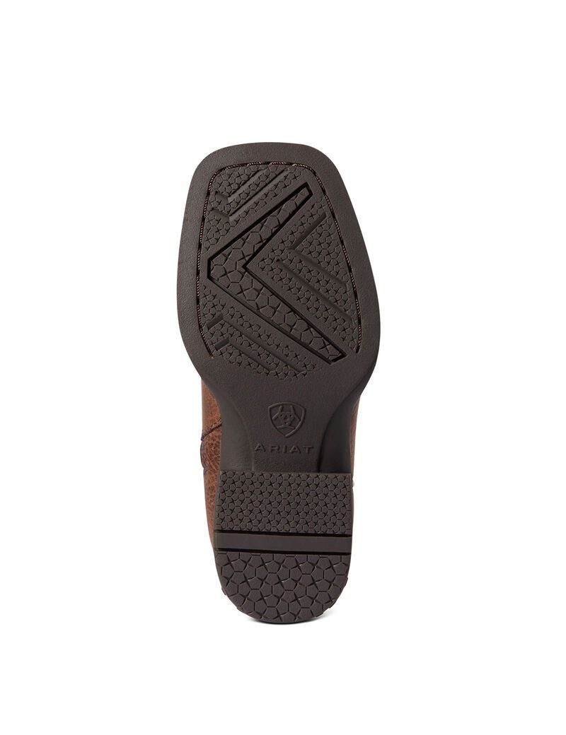 Bottes Western Ariat Sorting Pen Chocolat | 517846TID