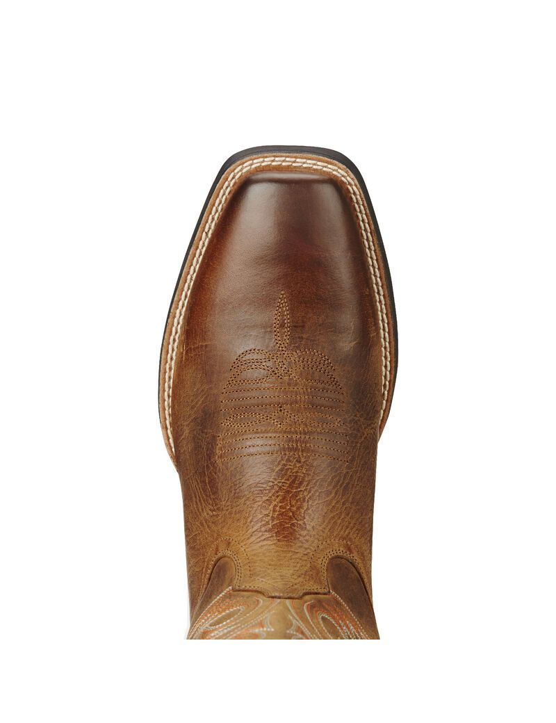 Bottes Western Ariat Sport Herdsman Marron | 327498HCK