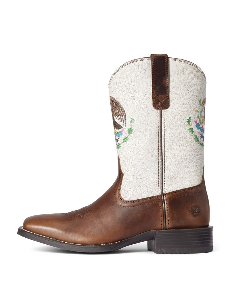 Bottes Western Ariat Sport Orgullo Mexicano Chocolat | 230541CJF