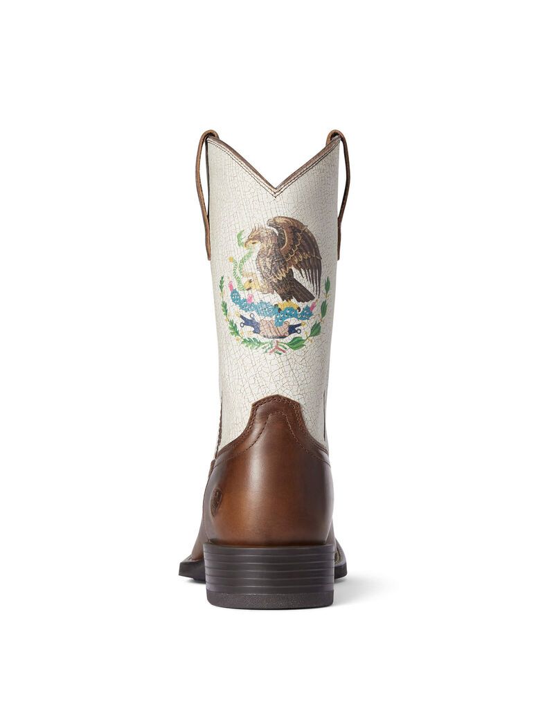 Bottes Western Ariat Sport Orgullo Mexicano Chocolat | 230541CJF