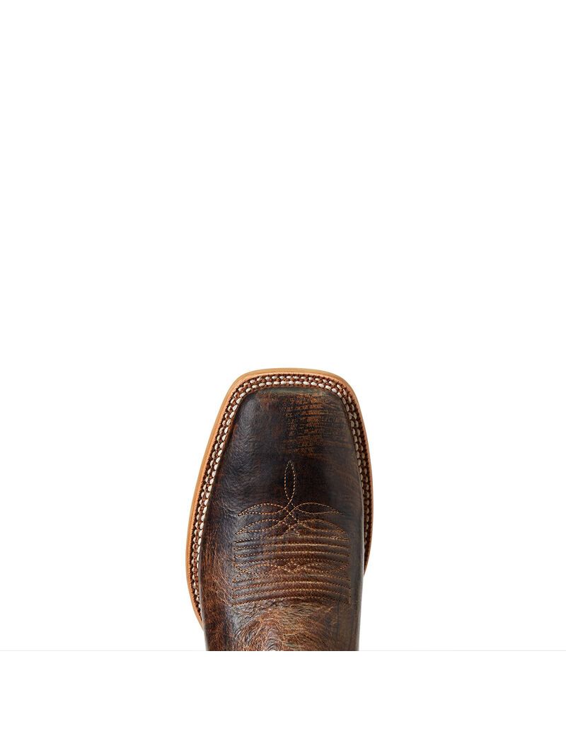 Bottes Western Ariat Standout Marron | 210537QKV