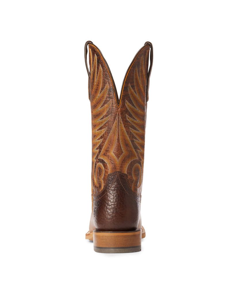 Bottes Western Ariat Toledo Beige | 152786KEU