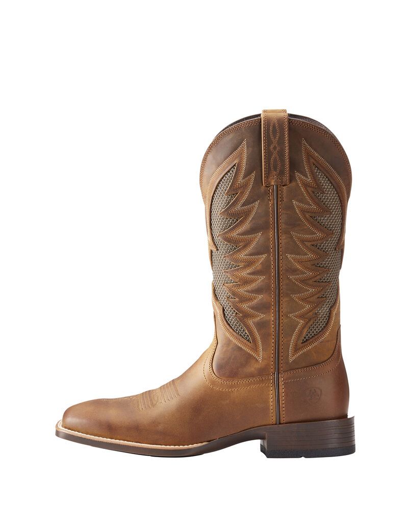 Bottes Western Ariat Venttek Ultra Marron | 140289POS