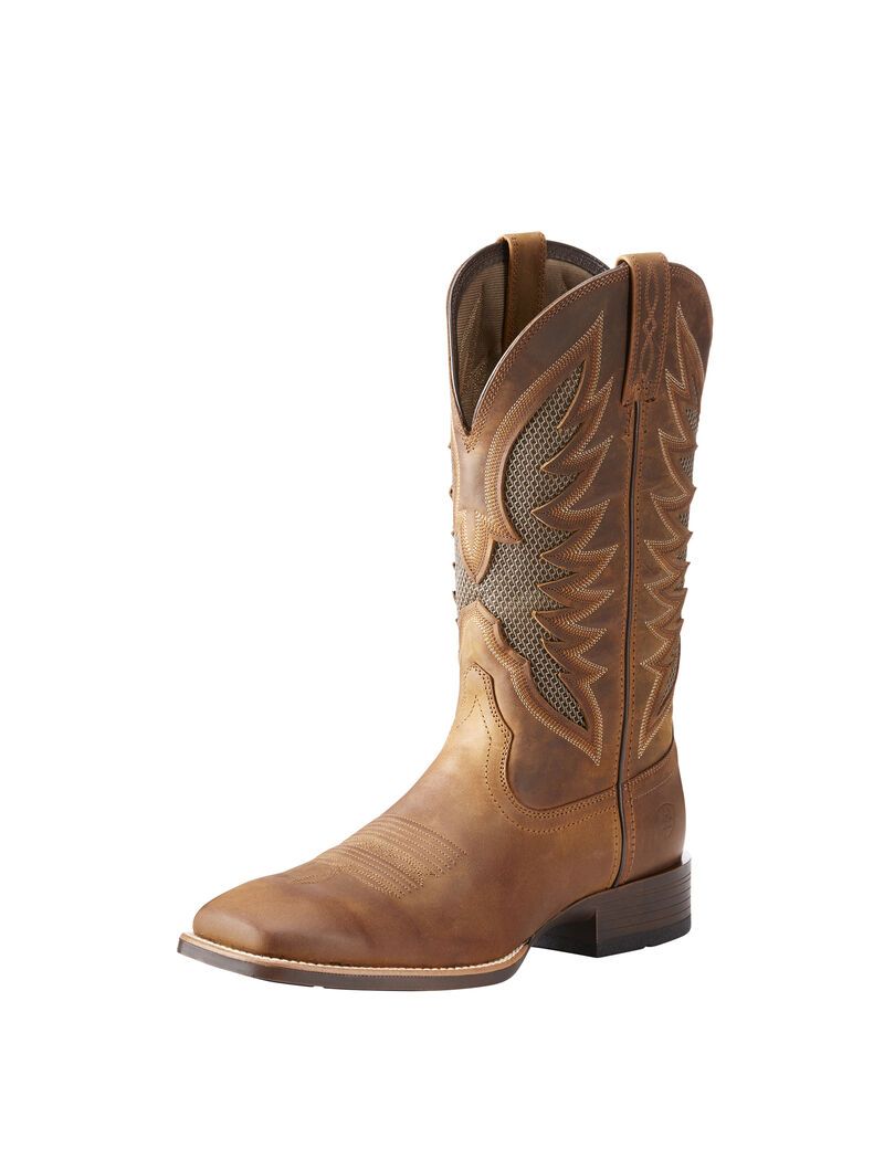 Bottes Western Ariat Venttek Ultra Marron | 140289POS