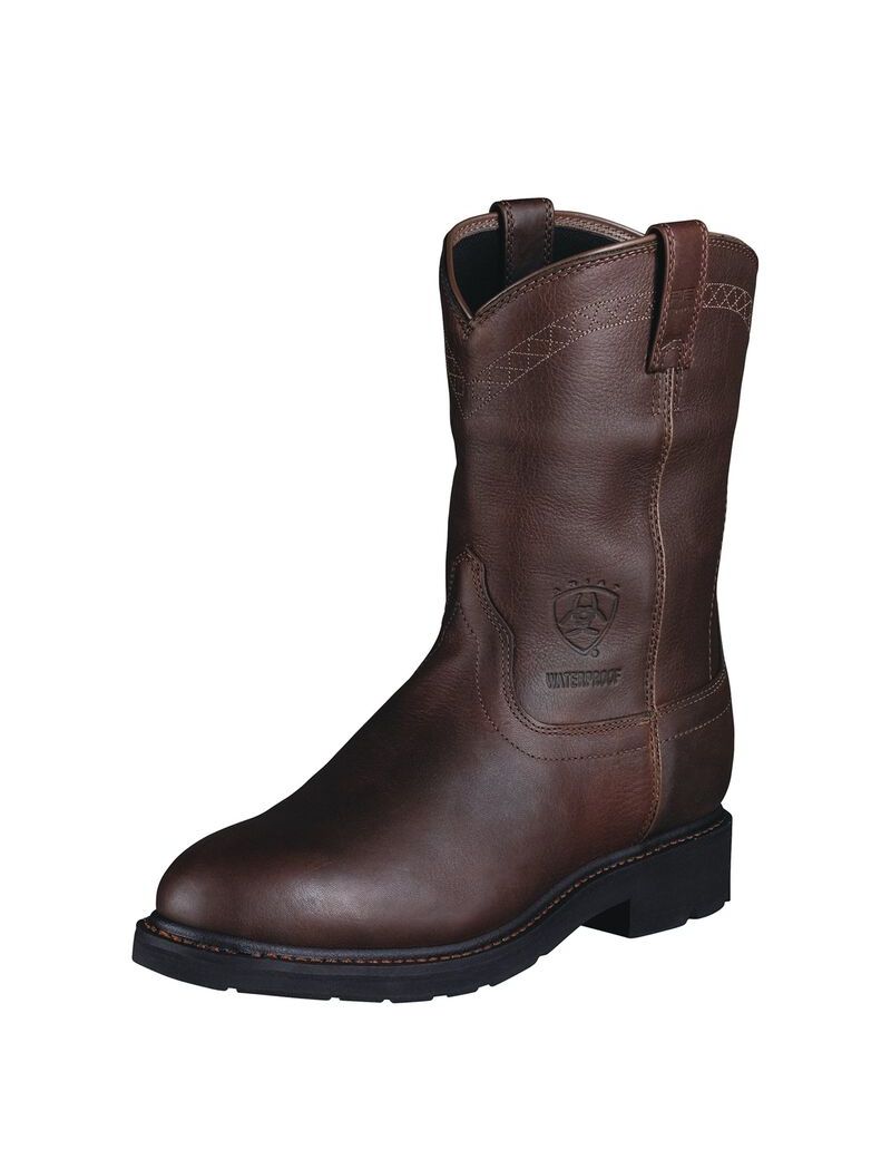 Bottes de Travail Ariat Sierra Imperméables Multicolore | 862173IUX