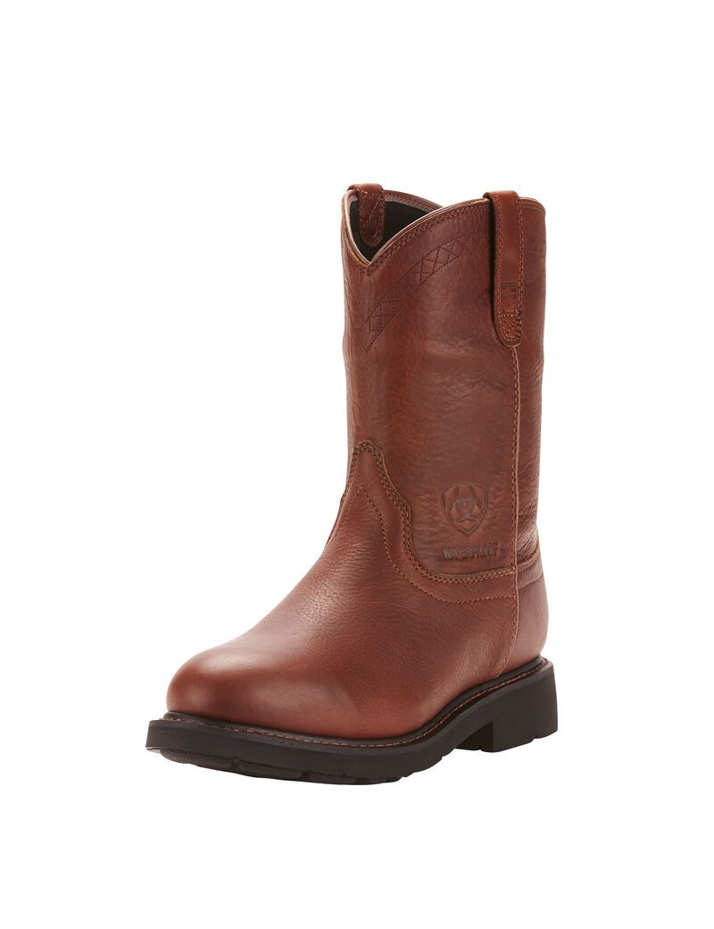 Bottes de Travail Ariat Sierra Imperméables Multicolore | 862173IUX