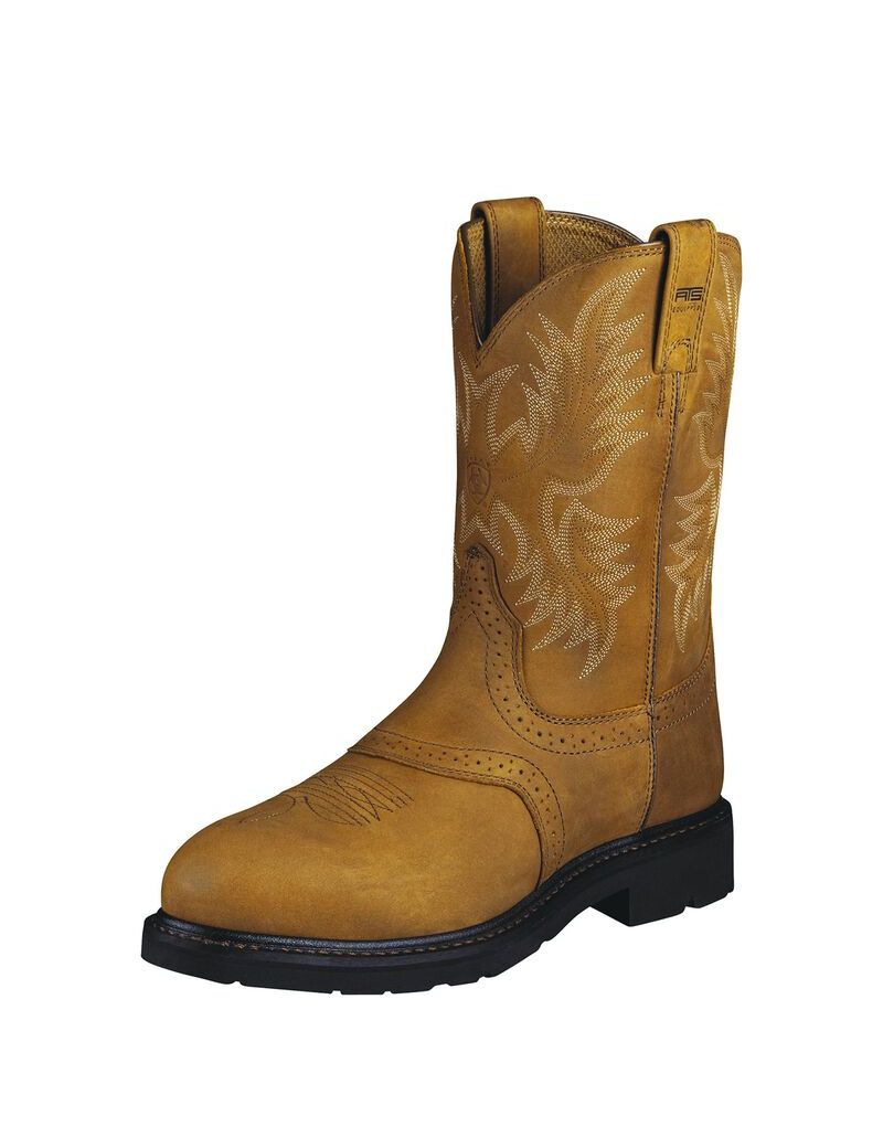 Bottes de Travail Ariat Sierra Saddle Steel Embout Multicolore | 806294NPC