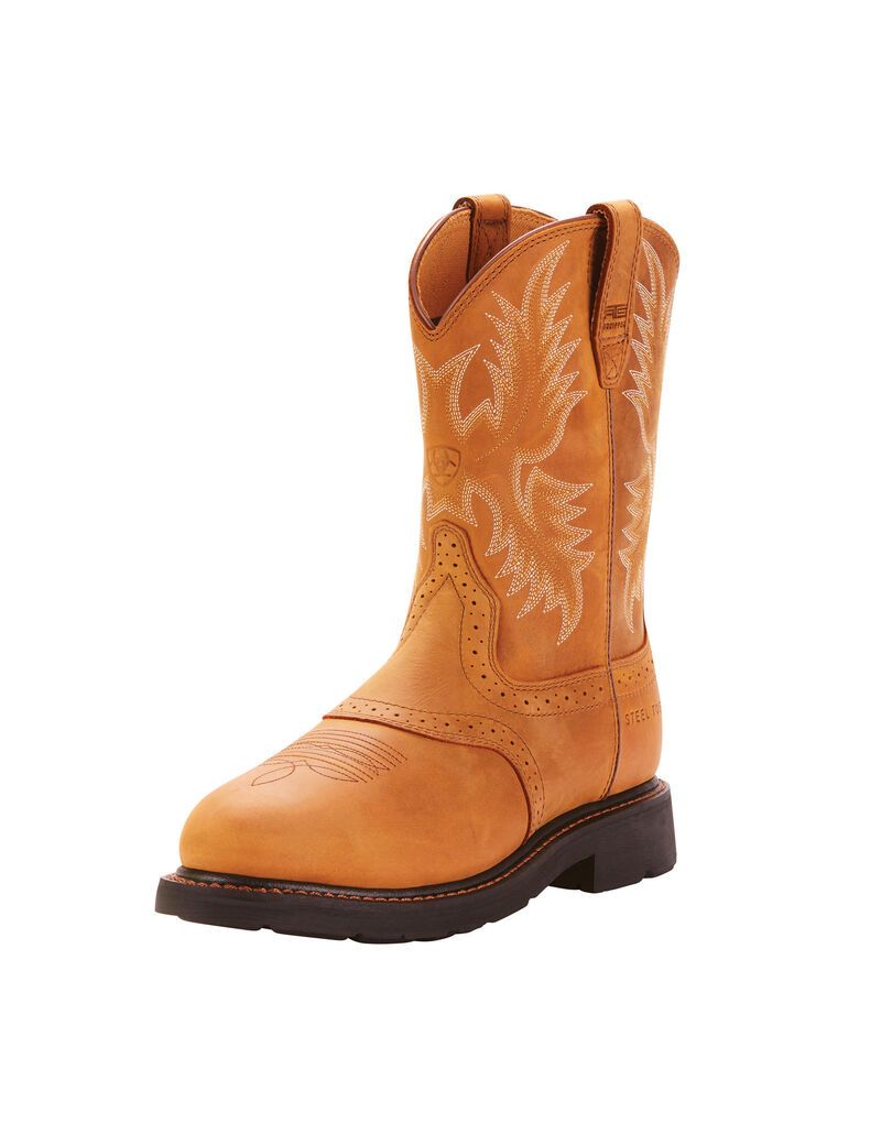 Bottes de Travail Ariat Sierra Saddle Steel Embout Multicolore | 806294NPC