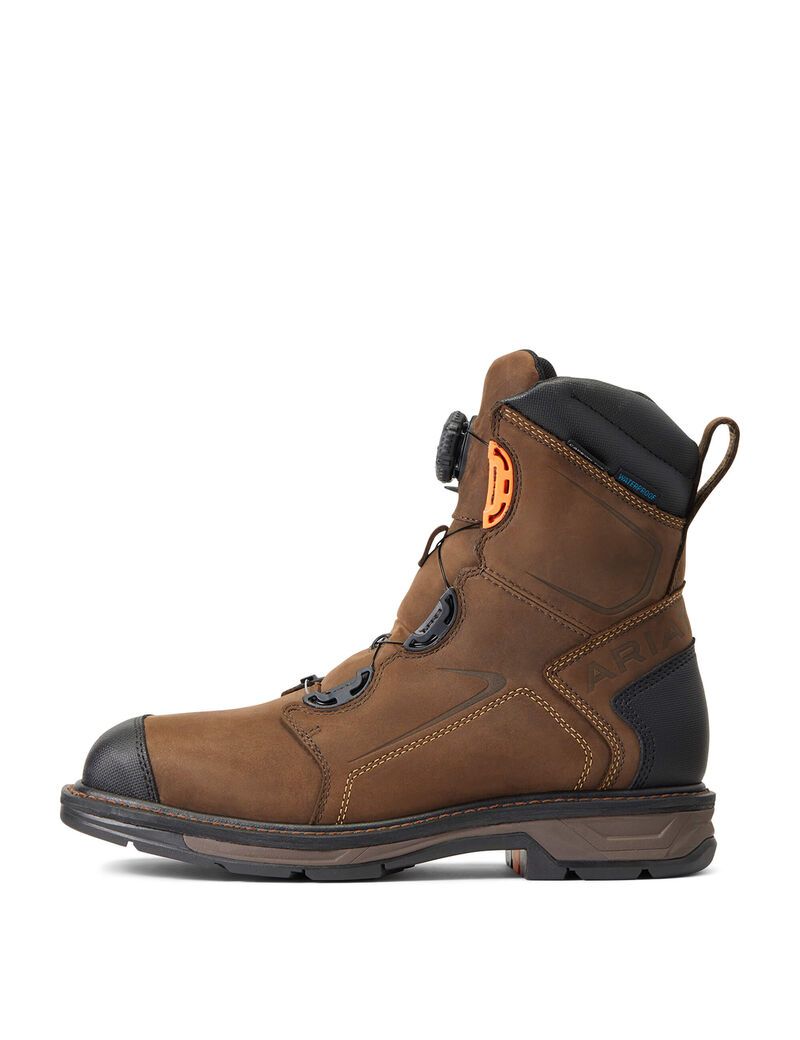 Bottes de Travail Ariat WorkHog XT 8' BOA Imperméables Carbon Embout Chocolat Marron | 204679FWO