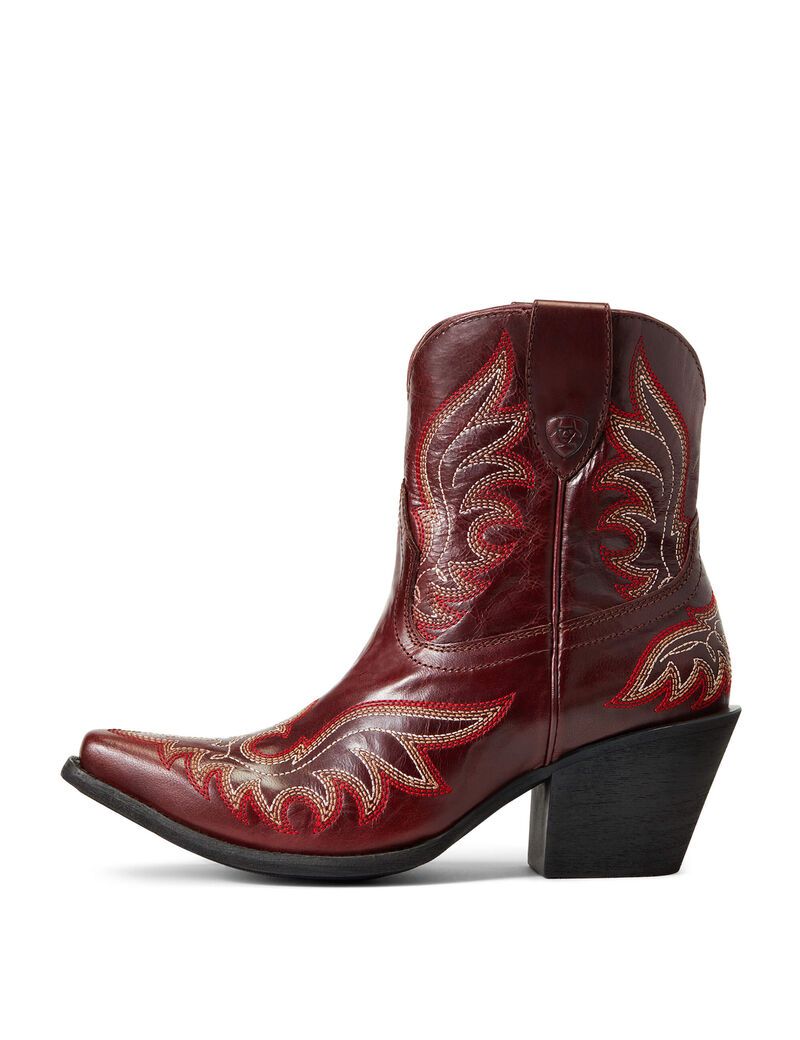 Bottines Ariat Chandler Western Multicolore | 253096LJB