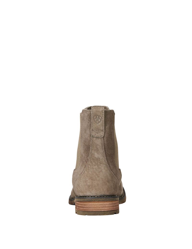 Bottines Ariat Wexford Imperméables Grise Marron | 084956YKL