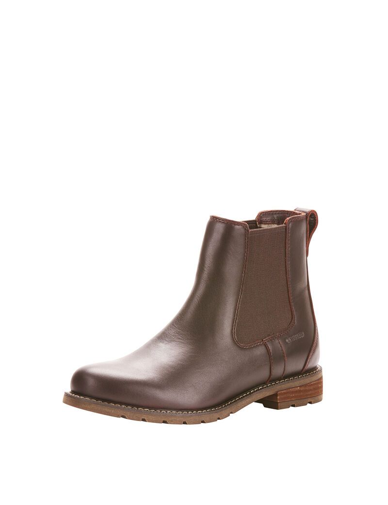 Bottines Ariat Wexford Imperméables Marron Foncé | 815720BCF