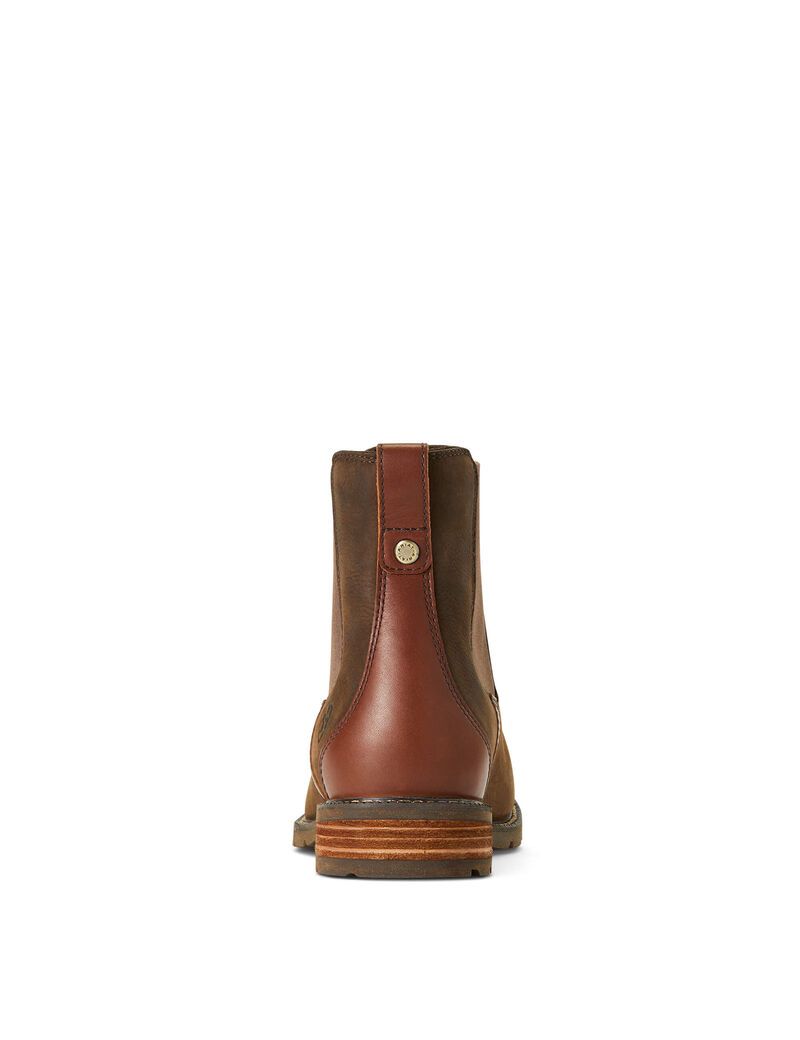 Bottines Ariat Wexford Imperméables Multicolore | 230819DJS