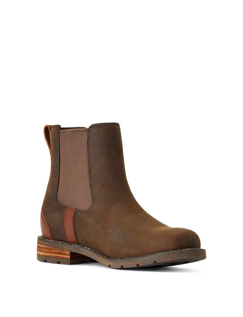 Bottines Ariat Wexford Imperméables Multicolore | 230819DJS