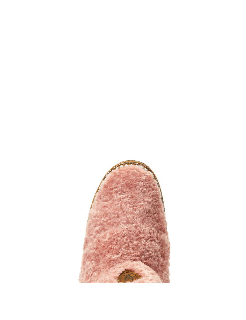 Chaussons Ariat Bootie Rose | 067254CPY