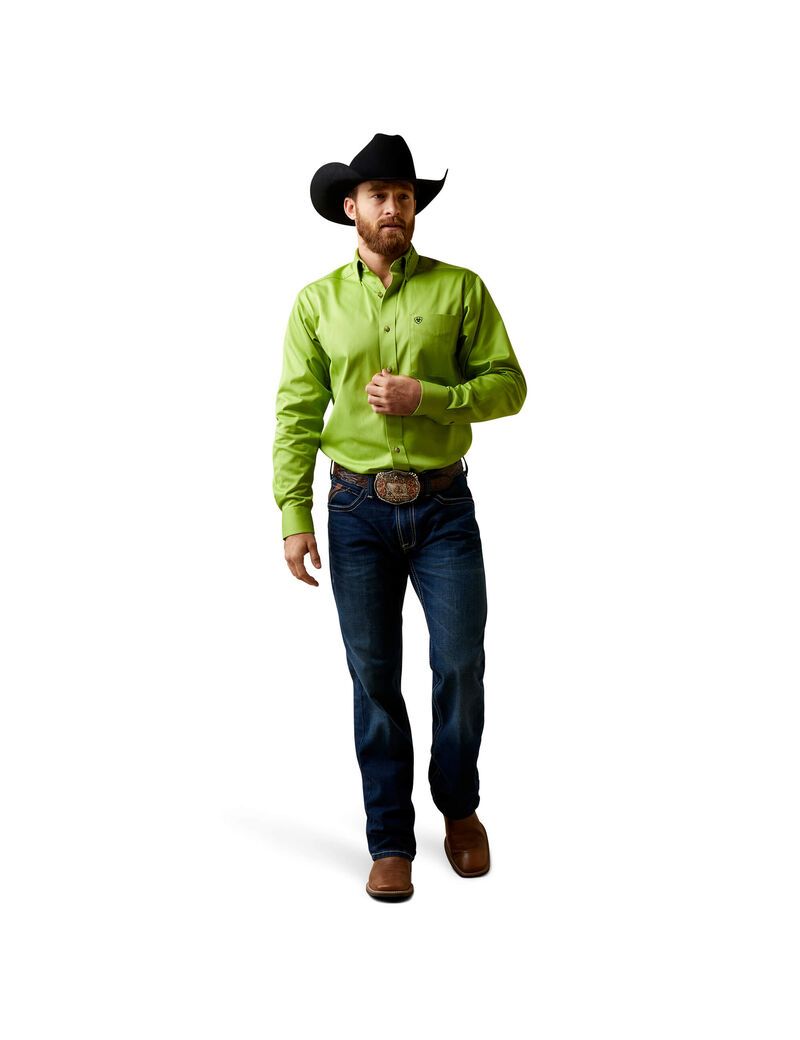 Chemises De Costume Ariat Team Logo Twill Fitted Vert | 986271VDK