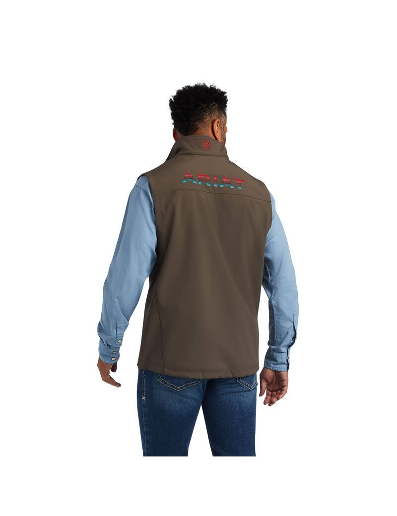 Gilet Ariat Logo 2.0 Softshell Multicolore | 603975DVF