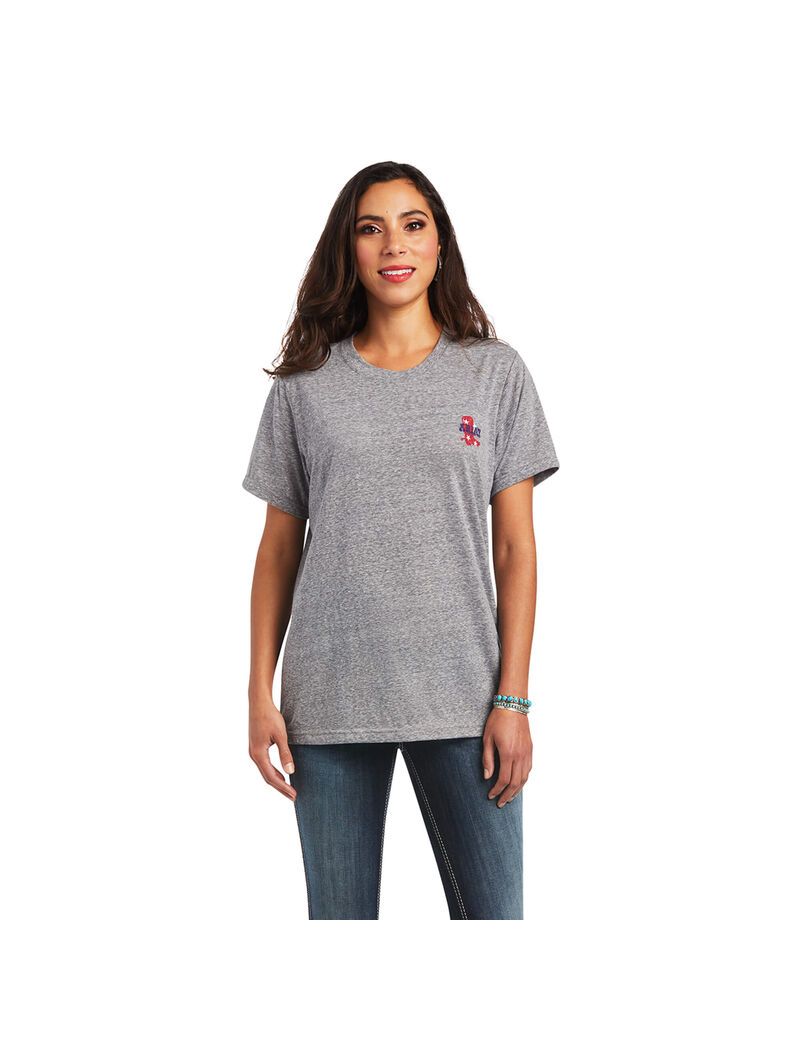 Hauts Ariat Singing the Blues Tee Grise | 479815HKM